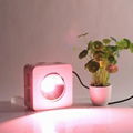 full spectrum grow light for plant growth