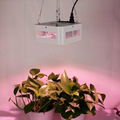 Full Spectrum 1x200W COB 84x pro led grow light good for medical plant 6