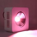 Full Spectrum 1x200W COB 84x pro led grow light good for medical plant 7