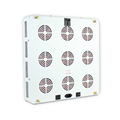 9x200W CREE Chip Full Spectrum LED Plant Grow Light for Greenhouse 7