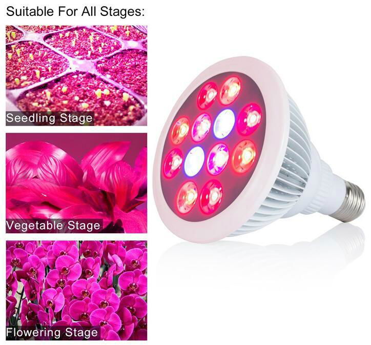 12x1W grow light bulbs