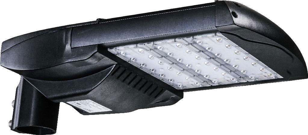 Hot Sale ZGSM LED Street Light 100W 2