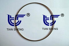 Metal C-Ring Sealing Gasket (TS N9000S)