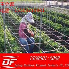 flower support netting