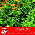 Anping flower support netting 3