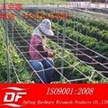 DF flower support netting 1