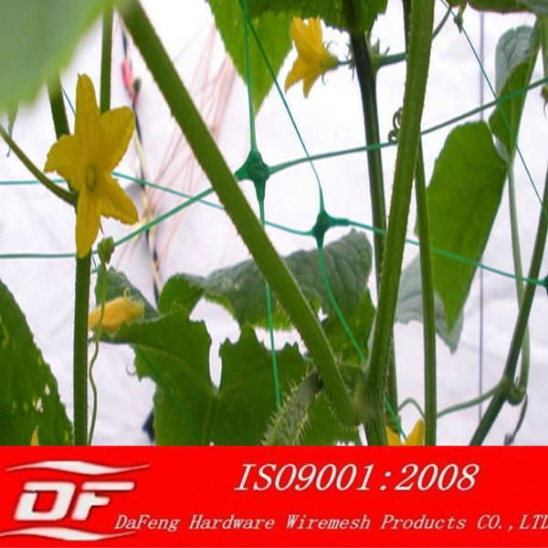 Anping flower support netting 4