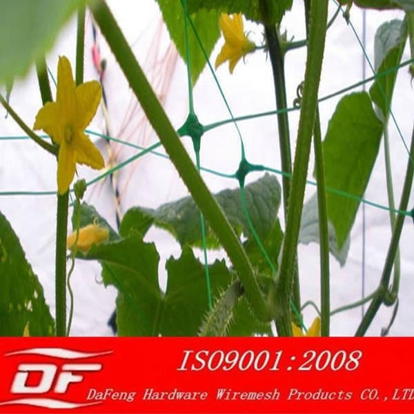 DF plant support netting