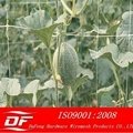 DF plant support netting 5