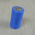 ER34615 Lithium Battery with 14.4V Voltage and 19Ah Capacity Used for Farm Tools