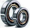 Bearing