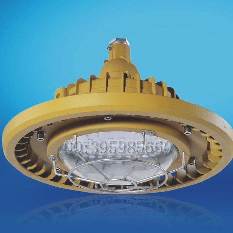 LED防爆免维护防水防尘防腐节能灯BRE8618(60W-120W)