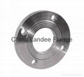 China tube flanges 4