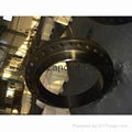 Black Coating Weld Neck Flanges