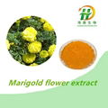 Marigold Flower Extract