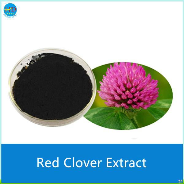 Red Clover Powder Extract 2
