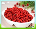 Goji Berry Extract 1