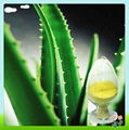 Natural Aloe Vera Extract 1