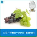 Hot Sale Polygonum Cuspidatum Resveratrol Extract 2