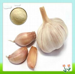 Garlic Extract