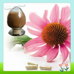 Top Quality Echinacea Pallida Extract