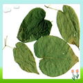 Epimedium Sagittatum Extract Icariin Icariins 1