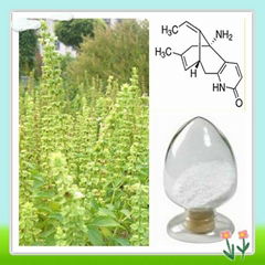 Lycopodium Serratum Extract Huperzine a