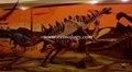 Dinosaur  Fossil Skeleton art  Usage in history museum decoration 3