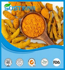 high quality curcumin