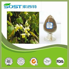  epimedium extract for sale 