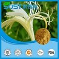 latest product HoneySuchle Flowers Extract