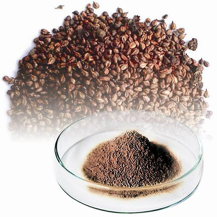 100% Grape Seed Extract 