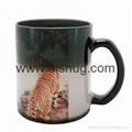 custom color changing sublimation mug