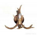 ANTLER SINGLE LIGHT WALL SCONCE  1