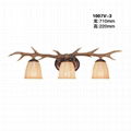 antler chandelier