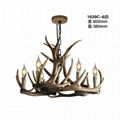 deer antler chandelier