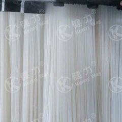 KR4 Rice Stick Noodle Production Line