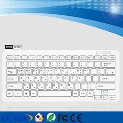 Portable bluetooth mini keyboard for