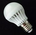 2W Bulb LED Light