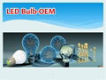 2W Bulb LED Light 2