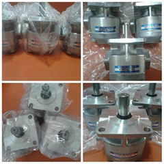 NIHON SPEED Gear Pump