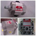 HPI gear pump