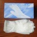 Vinyl Gloves  2