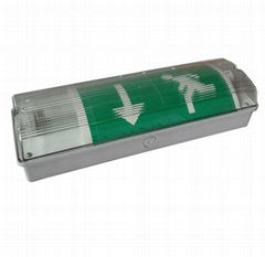 IP65 Fluorescent Tube Emergency Light 