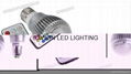 E27 9W RGB Led Bulbs Light With New Wireless Remote  party christmas lighting 3