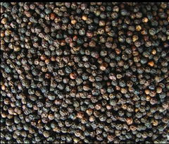 black pepper