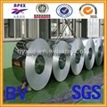 high quality hot dipped galvanized steel coil