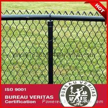 PVC Coated  Welded Wire Mesh