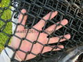 PVC Coated  Welded Wire Mesh 2