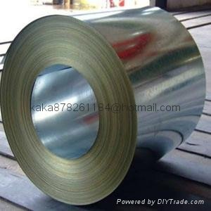 hot rolled steel coil,sheet 